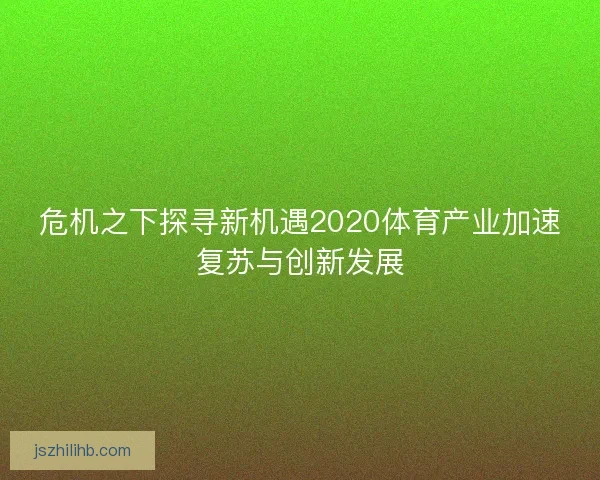 危机之下探寻新机遇2020体育产业加速复苏与创新发展