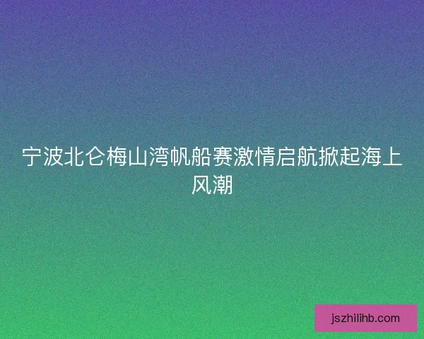 宁波北仑梅山湾帆船赛激情启航掀起海上风潮